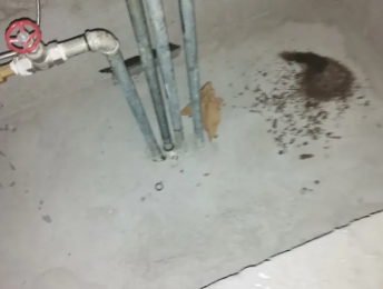 上思卫生间测漏水价格明细